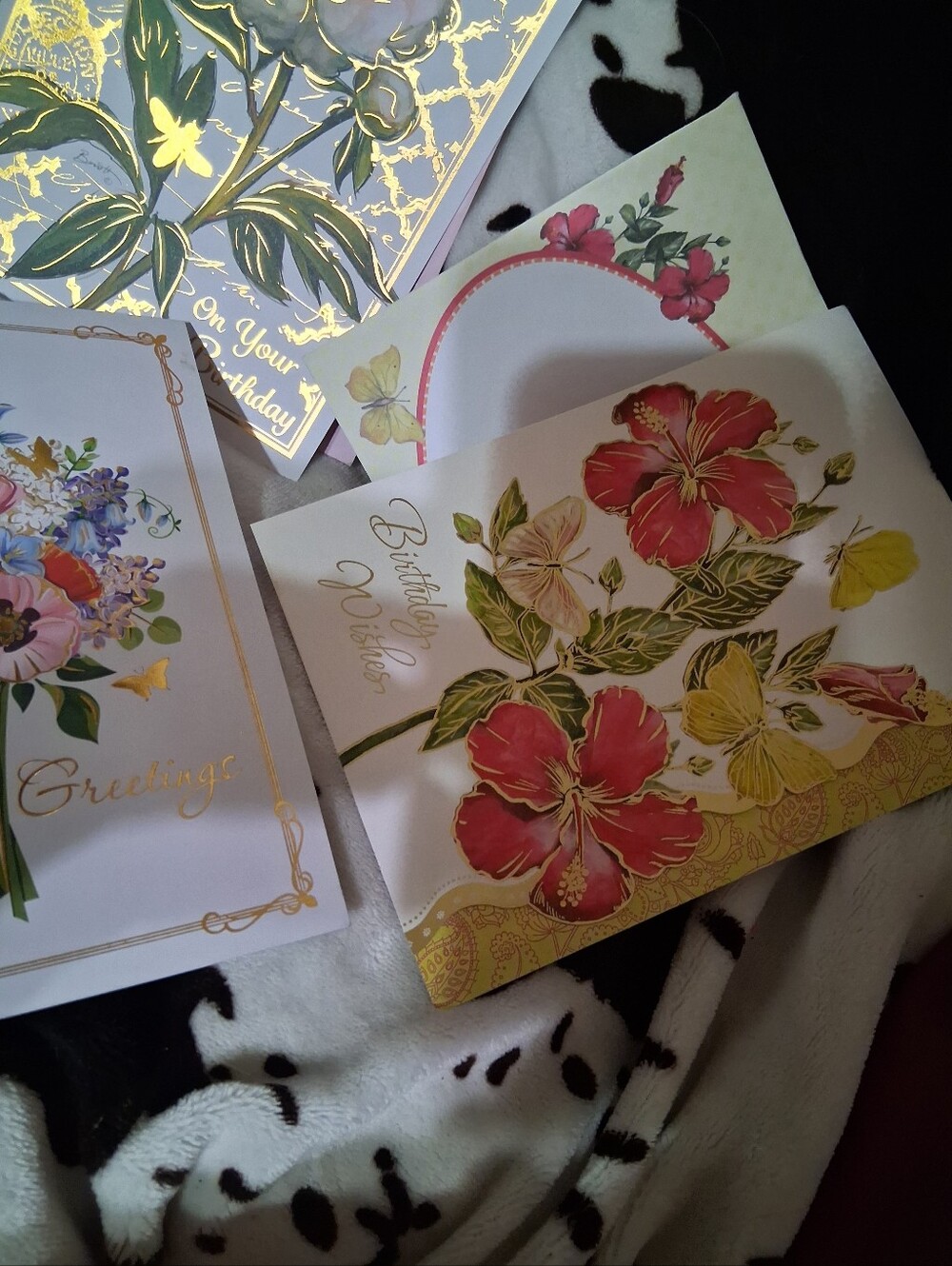 Birthday Card Set - Picture 5 of 5